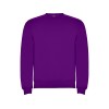 Свитшот с начесом Clasica детский, фиолетовый Свитшот с начесом Clasica детский, фиолетовый