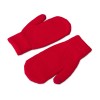 Варежки Dunant, красный