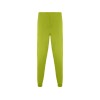 Брюки Fiber, фисташковый Брюки Fiber, фисташковый