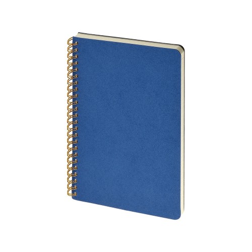 Бизнес тетрадь на гребне А5 Pragmatic, 60 листов в клетку, синий