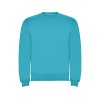 Свитшот с начесом Clasica унисекс, бирюзовый Свитшот с начесом Clasica унисекс, бирюзовый