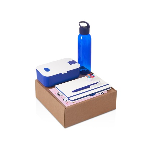 Подарочный набор с бутылкой для воды. блокнотом, ручкой и ланчбоксом,синий