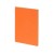 Бизнес тетрадь А5 Pragmatic, 40 листов в клетку, оранжевый Бизнес тетрадь А5 Pragmatic, 40 листов в клетку, оранжевый