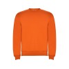 Свитшот с начесом Clasica детский, оранжевый Свитшот с начесом Clasica детский, оранжевый