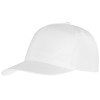 Бейсболка Poly 5-ти панельная, белый (Р) Бейсболка Poly 5-ти панельная, белый (Р)