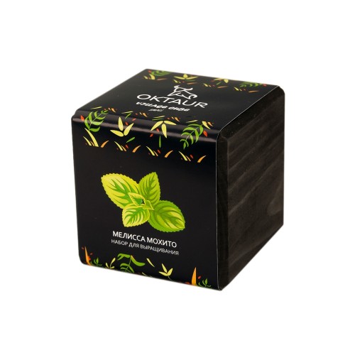 Набор для выращивания Small village cube Мелиса Мохито