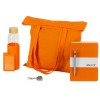 Welcome pack Color Refine