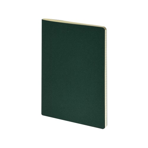 Бизнес-тетрадь А4 Pragmatic,  40л., клетка, зеленый