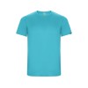 Футболка Imola мужская, бирюзовый