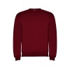 Свитшот с начесом Clasica детский, гранатовый Свитшот с начесом Clasica детский, гранатовый