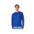 Толстовка Rome мужская, синий классический Толстовка Rome мужская, синий классический