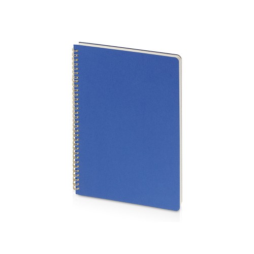 Бизнес тетрадь на гребне А4 Pragmatic, 100 листов в клетку, синий