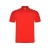 Рубашка поло Austral мужская, красный Рубашка поло Austral мужская, красный