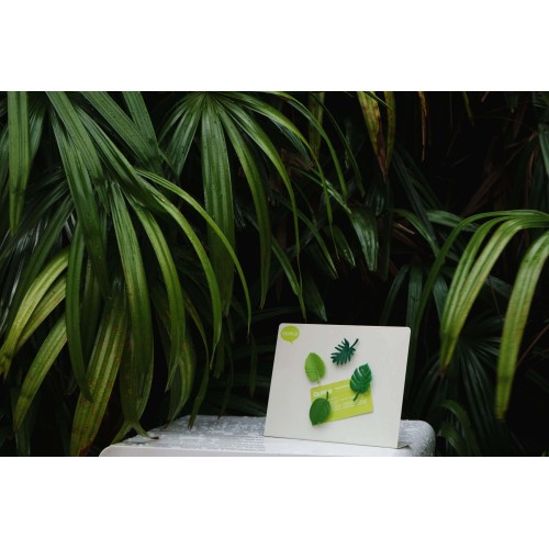 Набор магнитов Тропики