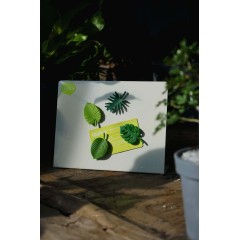 Набор магнитов Тропики