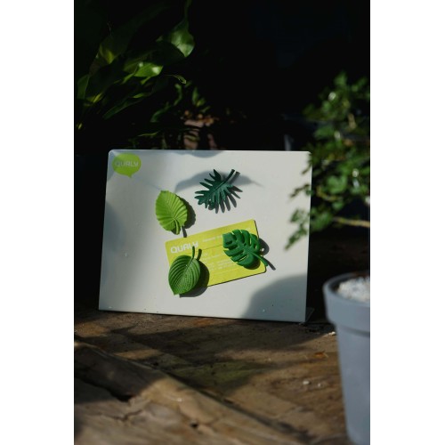 Набор магнитов Тропики