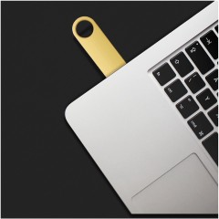 Флешка Гильдия, золотая