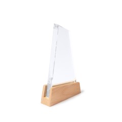 Стеклянная награда NAVIS