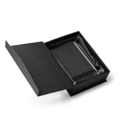 Стеклянная награда DISKUR