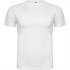 Спортивная футболка MONTECARLO мужская, БЕЛЫЙ S