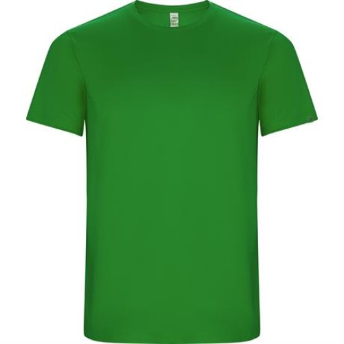 Спортивная футболка IMOLA мужская, ПАПАРОТНИКОВЫЙ S