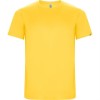 Спортивная футболка IMOLA мужская, ЖЕЛТЫЙ S Спортивная футболка IMOLA мужская, ЖЕЛТЫЙ S