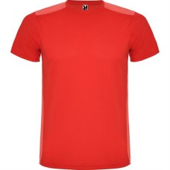 Спортивная футболка DETROIT мужская, КРАСНЫЙ 2XL