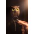 Брелок для ключей Night Owl