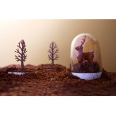 Ёмкости для специй в наборе Animal Parade