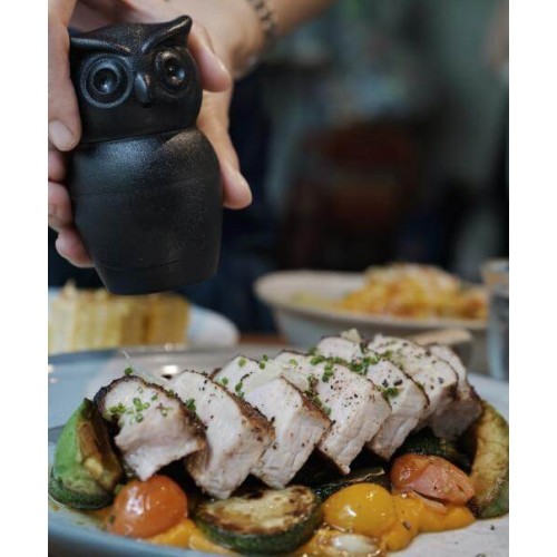 МЕЛЬНИЦА ДЛЯ СПЕЦИЙ Tasty Owl, чёрная