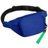 Поясная сумка SPLIT TO GO, Синий/Зелёный Поясная сумка SPLIT TO GO, Синий/Зелёный