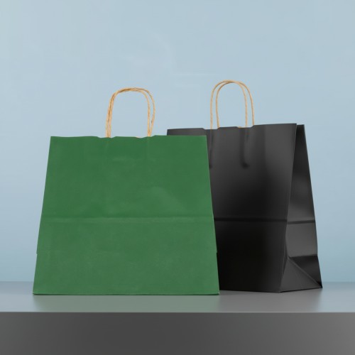 Пакет бумажный HAYA, Папоротниковый