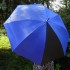Зонт-трость Vivo, синий
