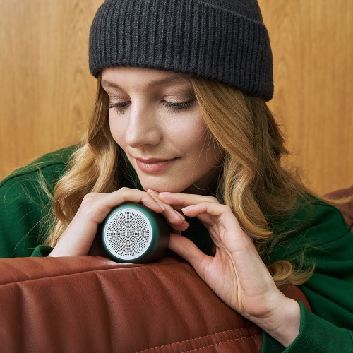 Беспроводная колонка Пассион (Passion) 80dB 600 mAh (Bluetooth 5.0), зеленая