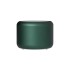 Беспроводная колонка Пассион (Passion) 80dB 600 mAh (Bluetooth 5.4), зеленая