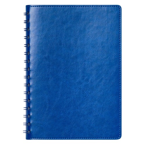 Ежедневник Vista Neo недатированный, ярко-синий