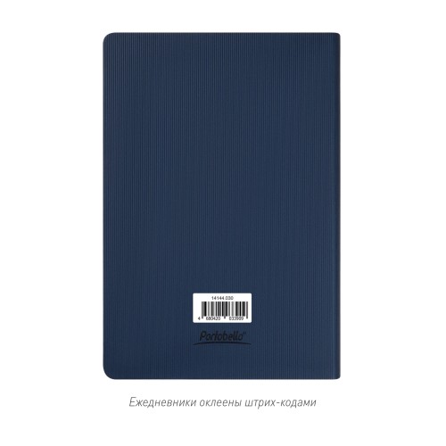 Ежедневник Рейн (Rain) недатированный, синий