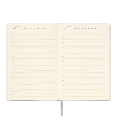 Ежедневник Spark недатированный, серебряный (с упаковкой, со стикерами)