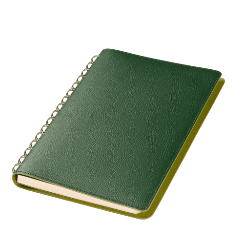 Ежедневник Vista недатированный, зеленый/салатовый