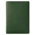 Ежедневник Vista недатированный, зеленый/салатовый