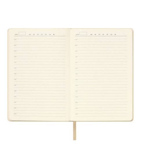 Ежедневник Spark недатированный, белое золото (с упаковкой, со стикерами)