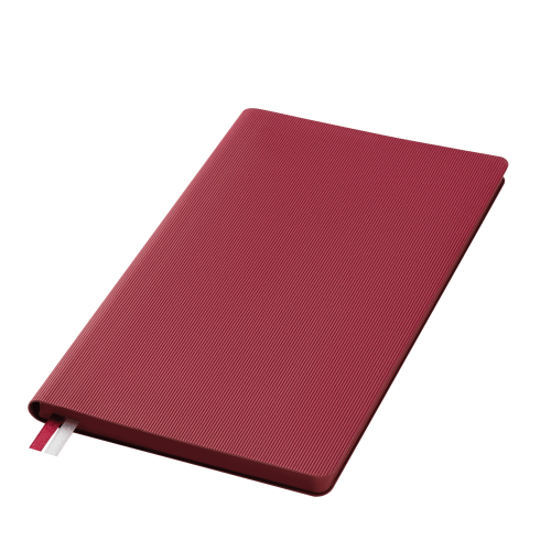 Ежедневник Rain недатированный, бургунди (без упаковки, без стикера)