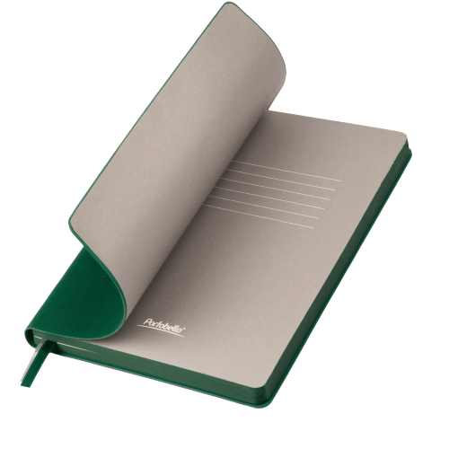 Ежедневник Rain недатированный, зеленый (без упаковки, без стикера)