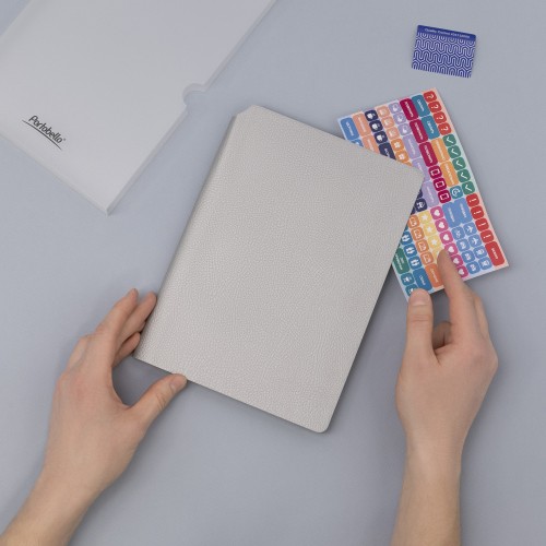 Ежедневник Molto недатированный, серебряный