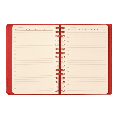 Ежедневник Vista недатированный, черный/красный