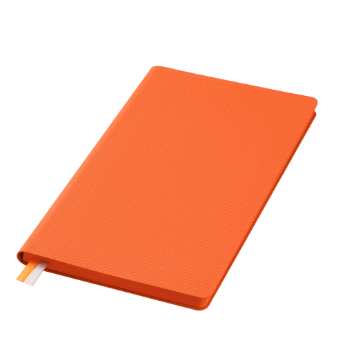 Ежедневник Rain недатированный, оранжевый (без упаковки, без стикера)