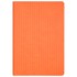 Ежедневник Rain недатированный, оранжевый