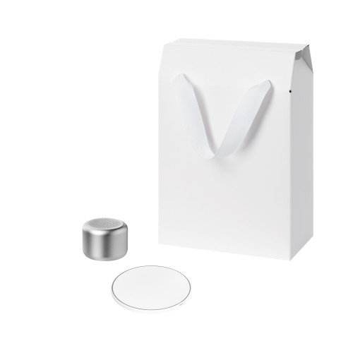 Подарочный набор Пассион, Аурис (Passion, Auris), серебряный (колонка, зарядное устройство)