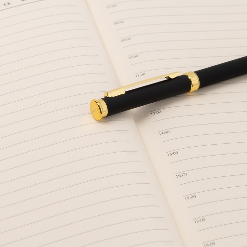 Шариковая ручка Бенуа (Benua), черная/позолота