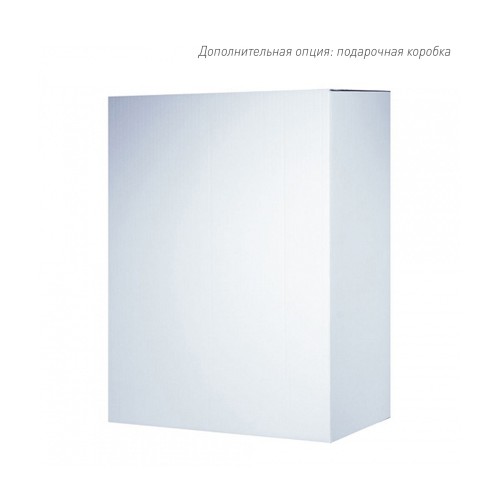 Бизнес рюкзак Таллер (Taller)  с USB разъемом, черный